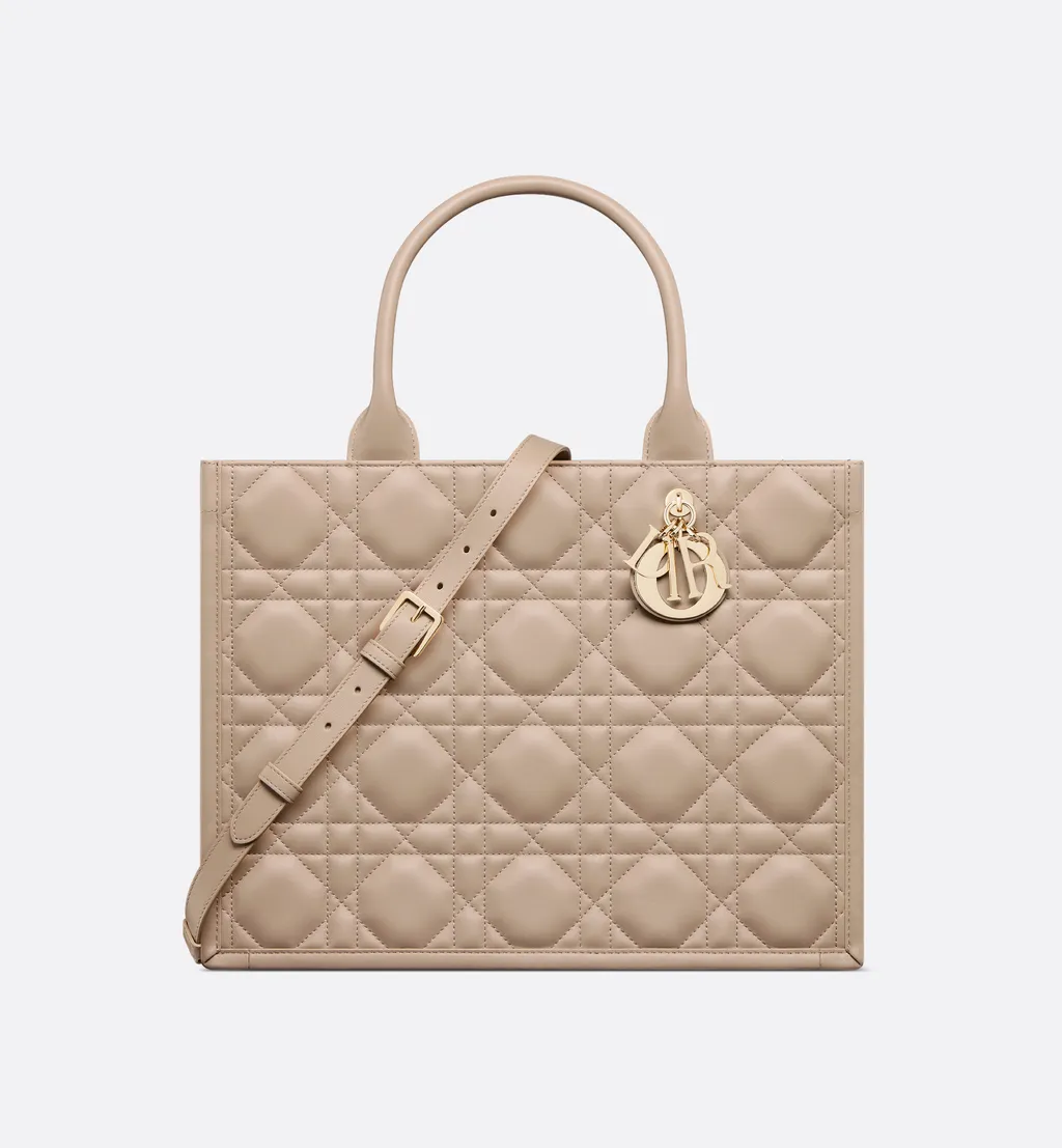 Medium Dior Book Tote