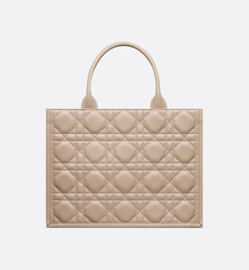 Medium Dior Book Tote