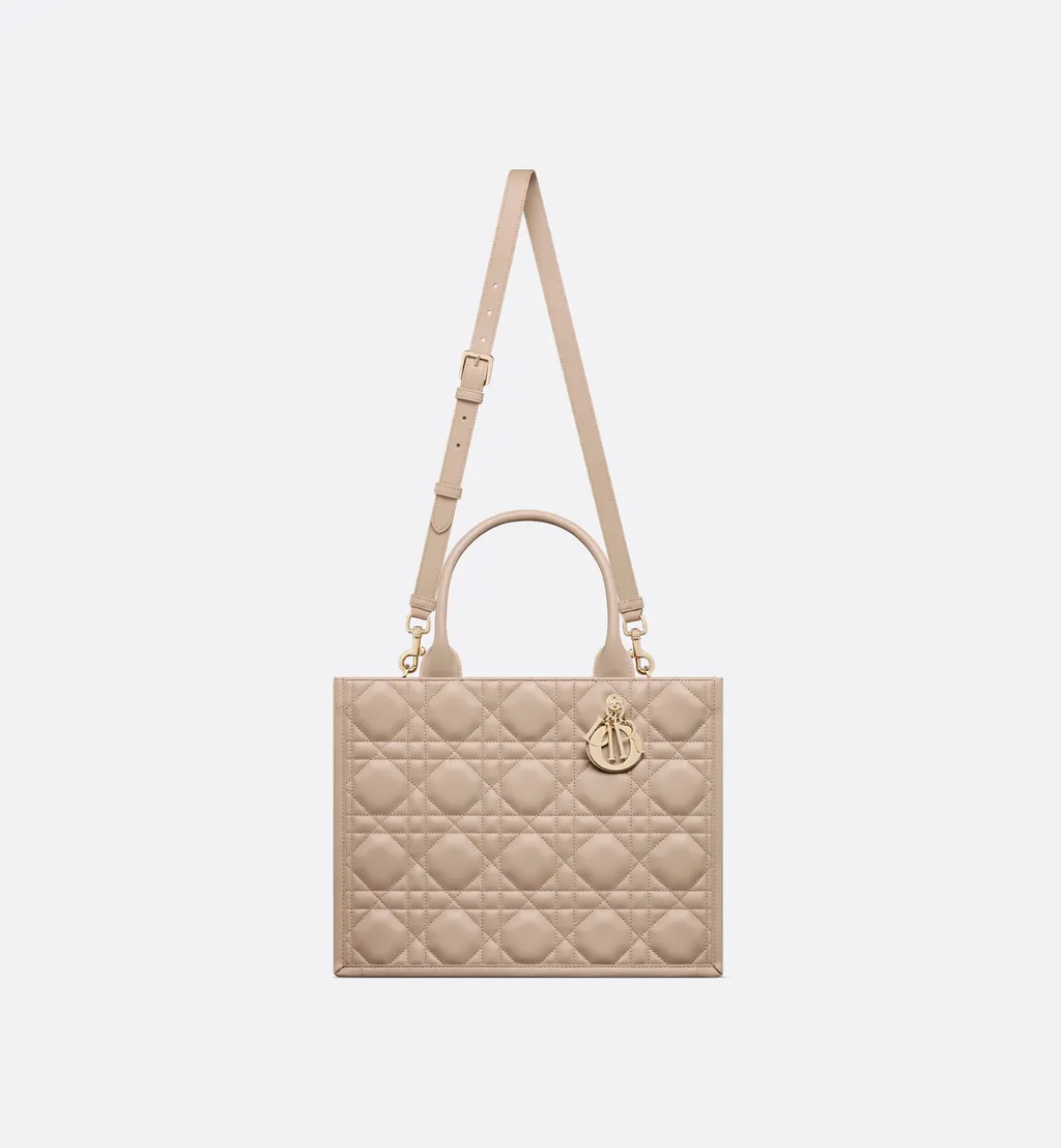 Medium Dior Book Tote