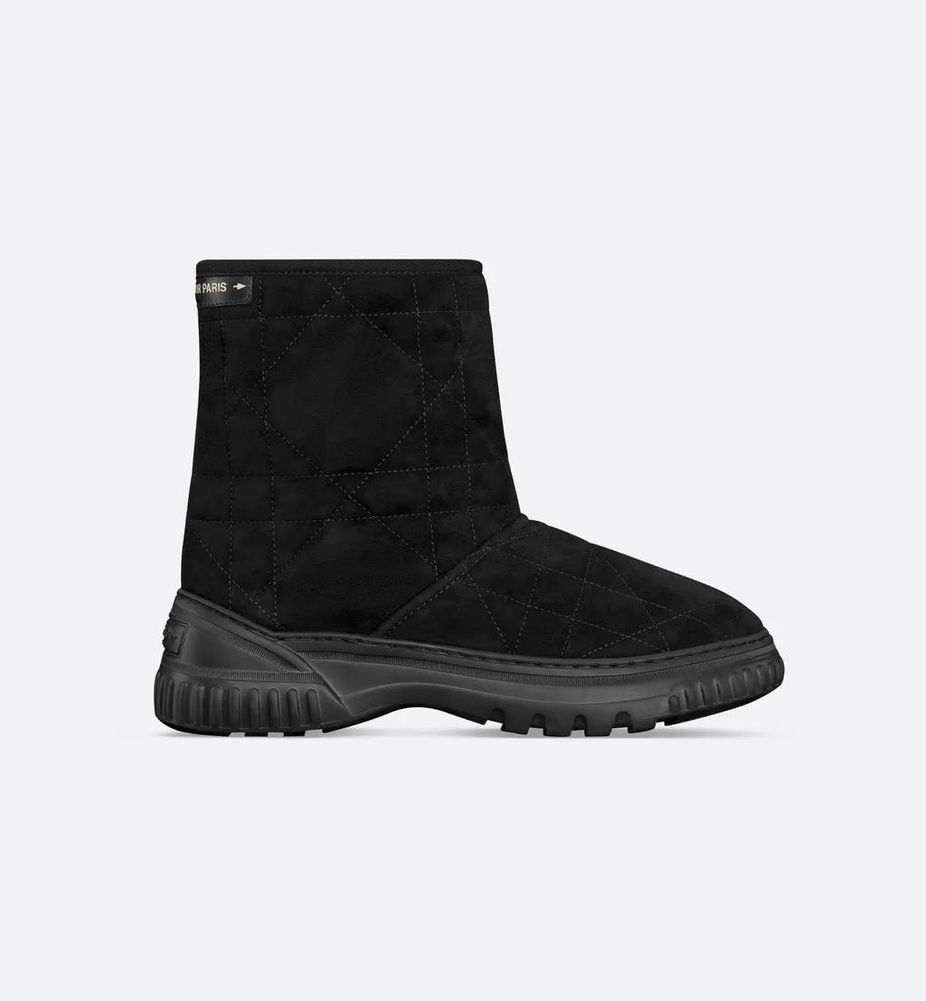 Dior Frost Ankle Boot