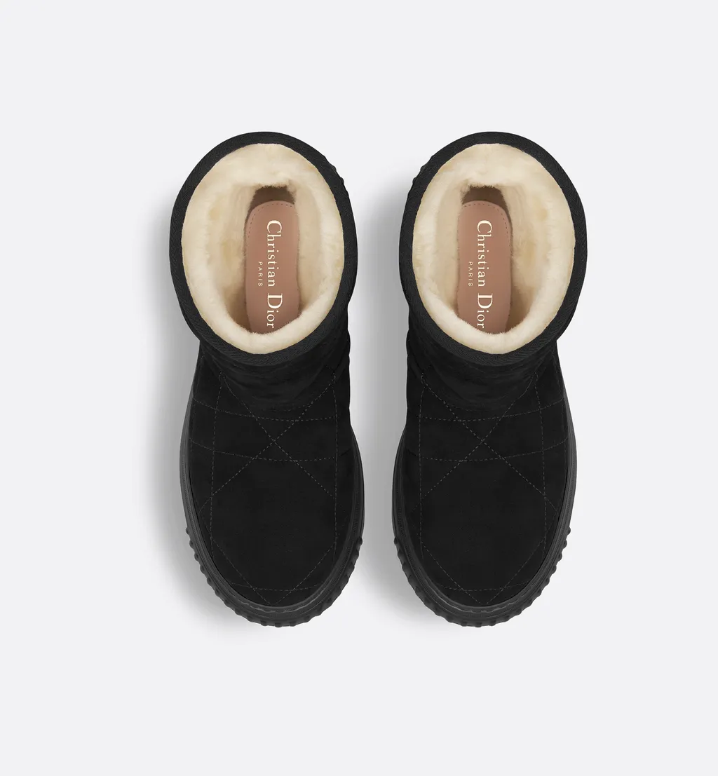 Dior Frost Ankle Boot