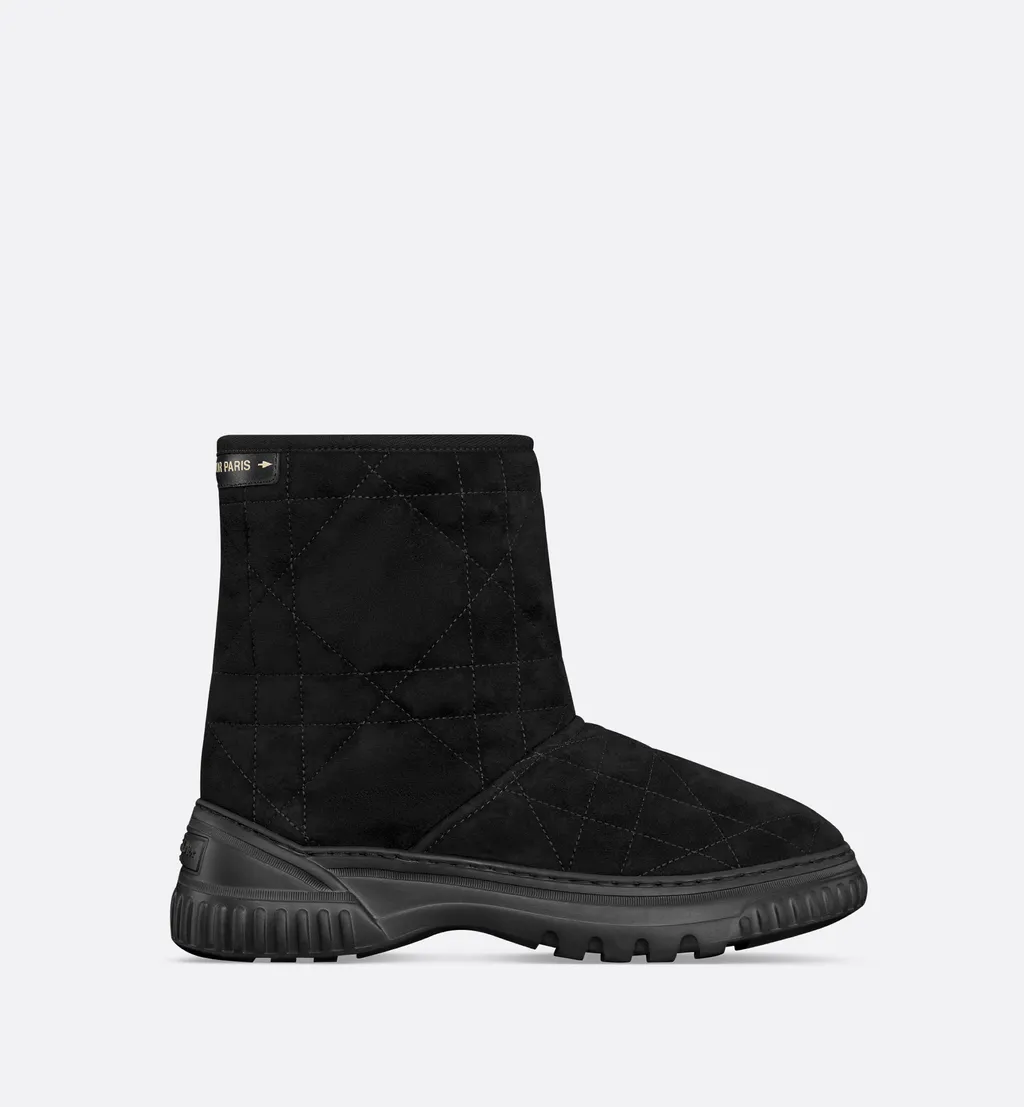 Dior Frost Ankle Boot