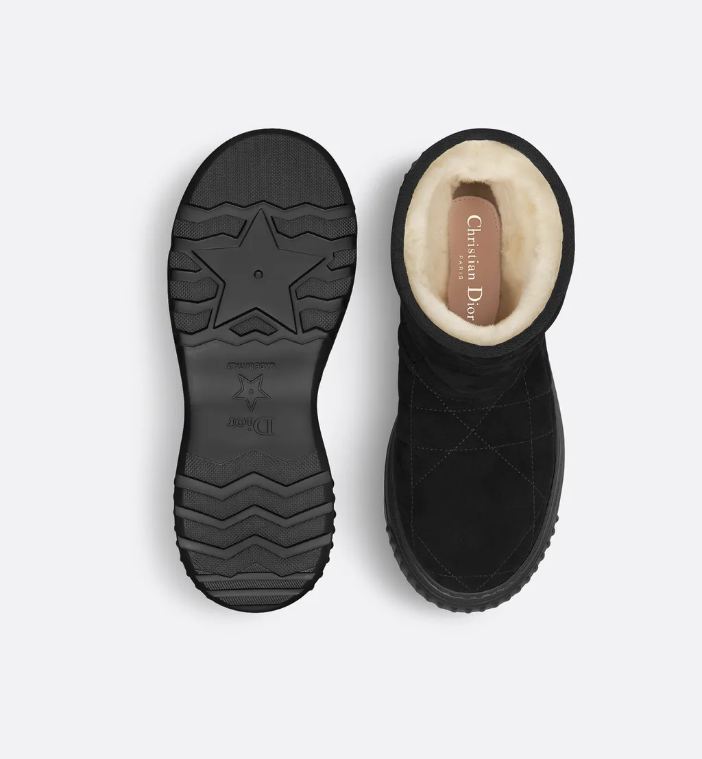 Dior Frost Ankle Boot