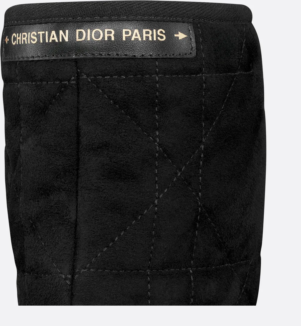 Dior Frost Ankle Boot