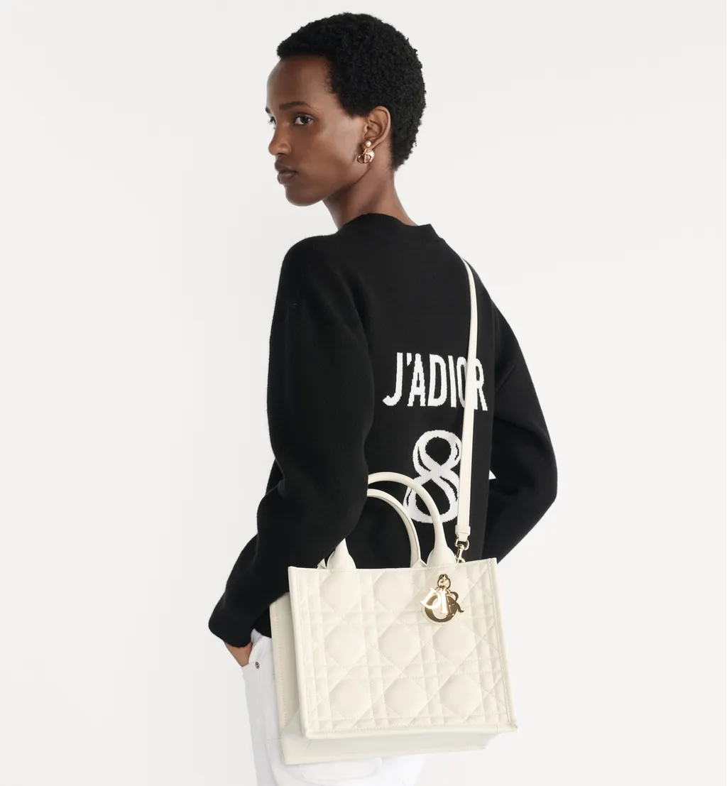 Small Dior Book Tote