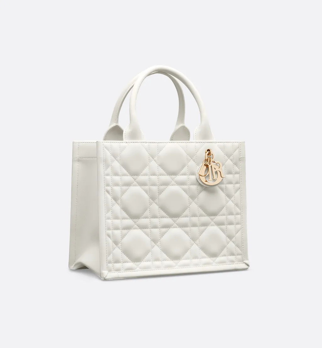 Small Dior Book Tote
