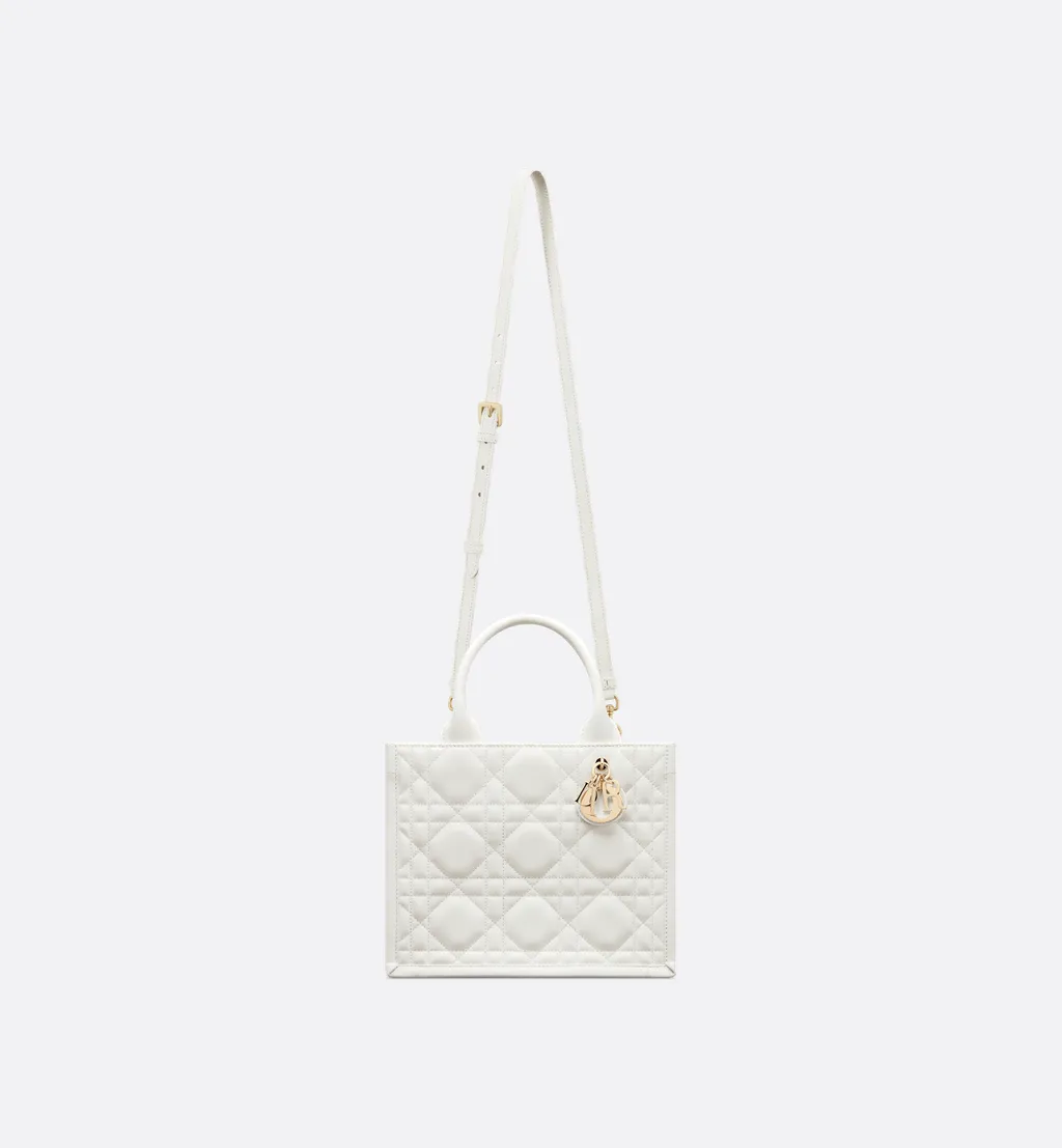 Small Dior Book Tote