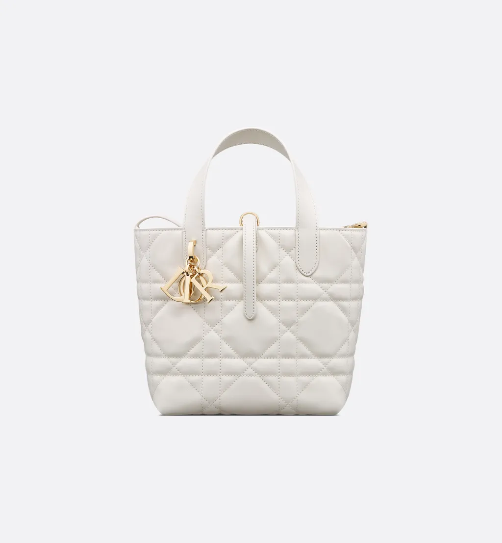 Small Dior Toujours Vertical Tote Bag