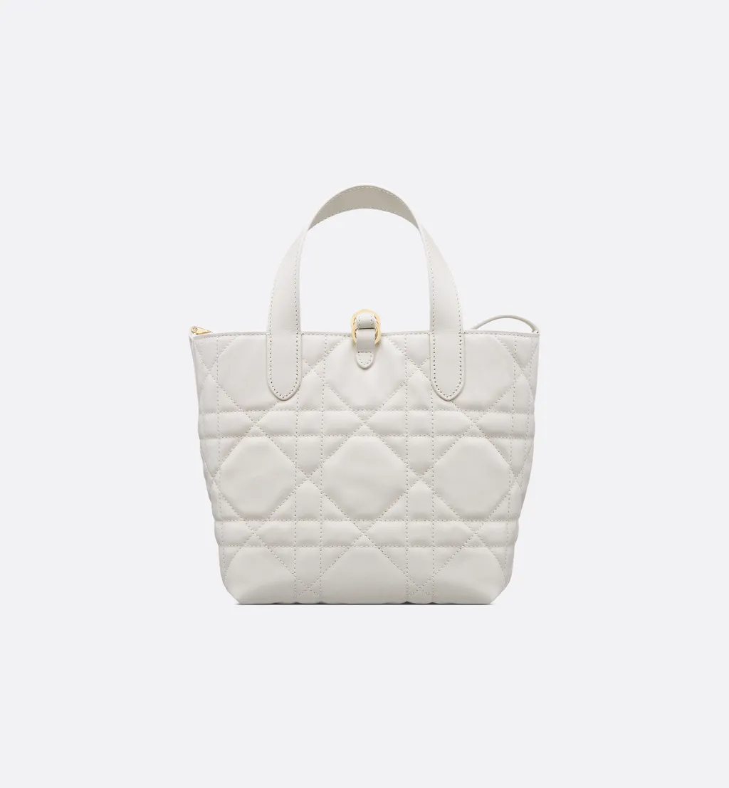 Small Dior Toujours Vertical Tote Bag