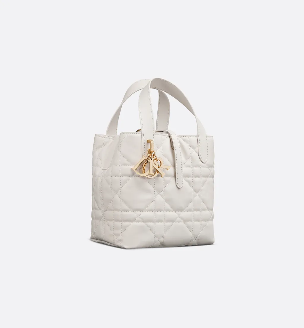 Small Dior Toujours Vertical Tote Bag