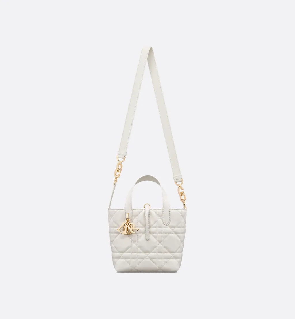 Small Dior Toujours Vertical Tote Bag