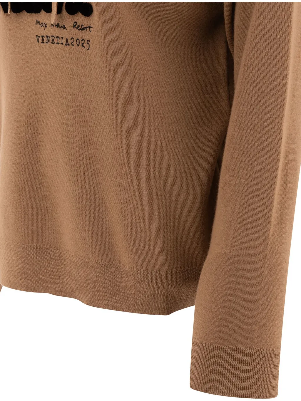 Max Mara Drawstring Long-Sleeved Hoodie