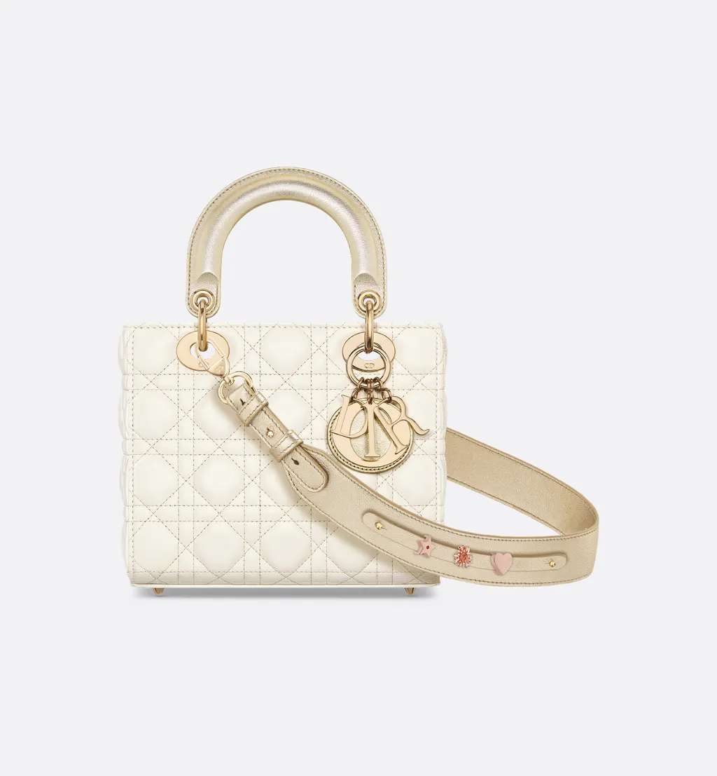 Small Lady Dior My Abcdior Bag