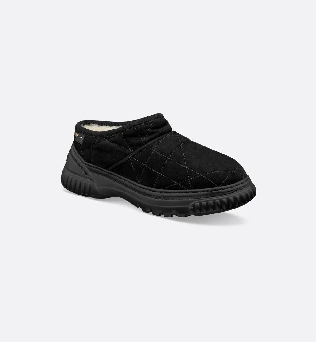 Dioralps Dior Frost Low Ankle Boot