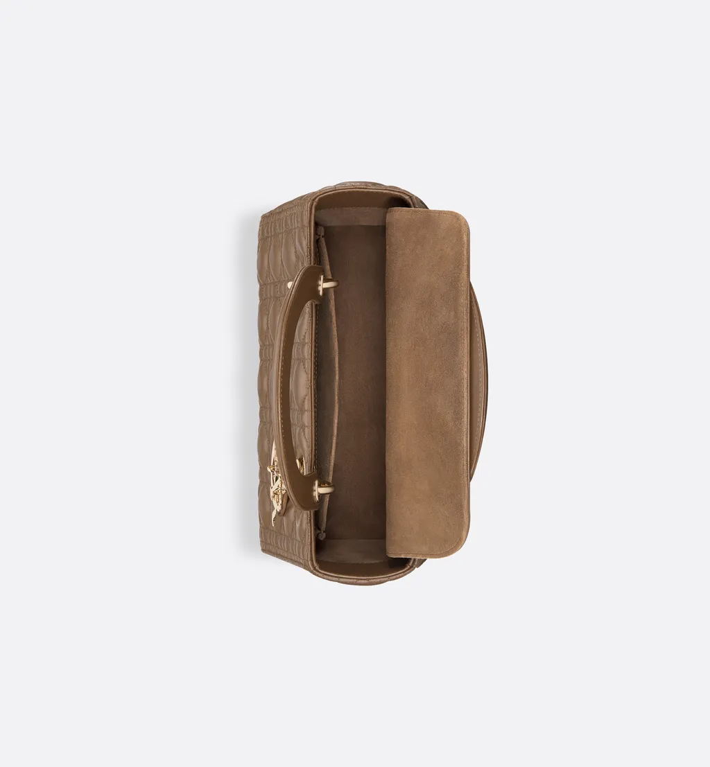 Medium Lady Dior Bag