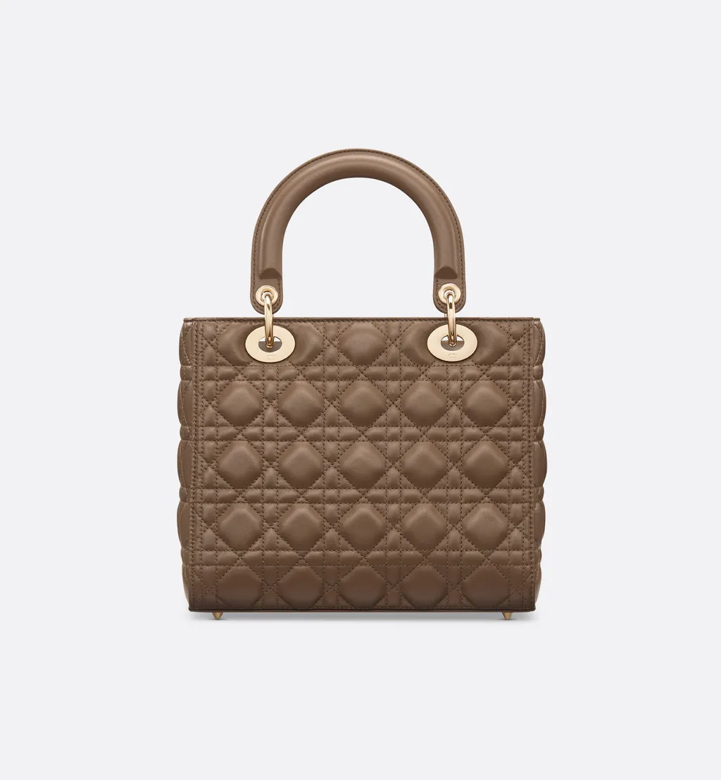 Medium Lady Dior Bag