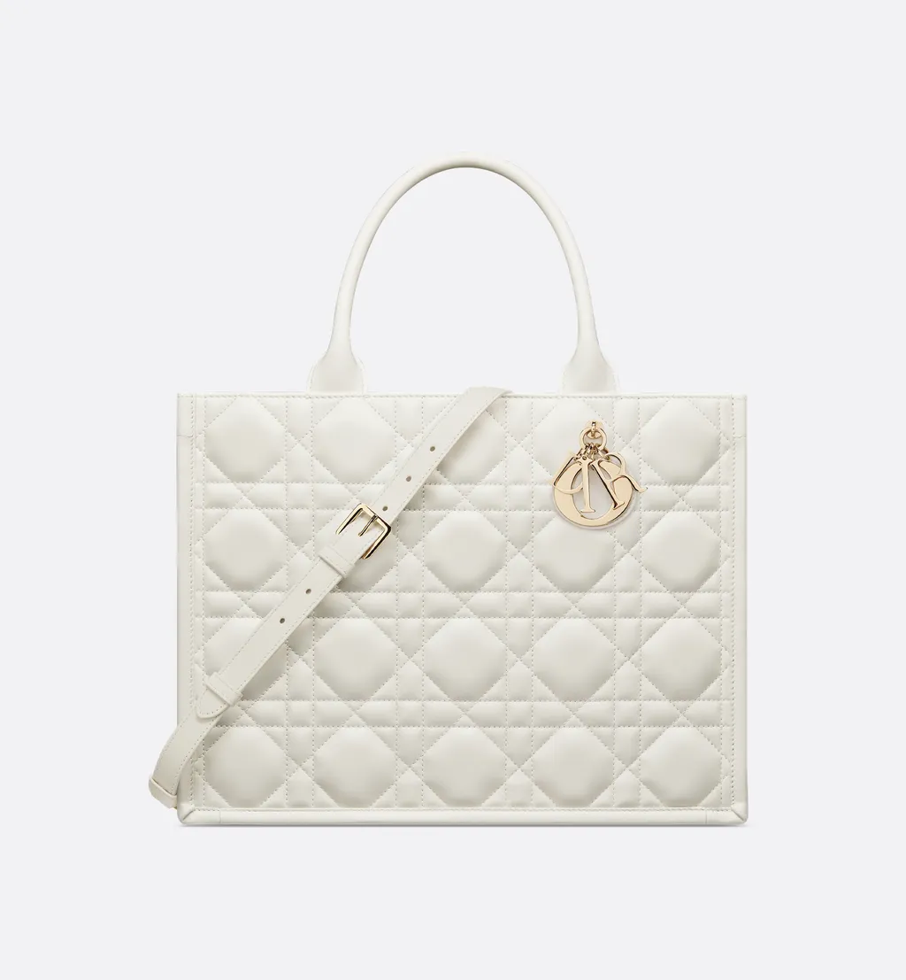 Medium Dior Book Tote