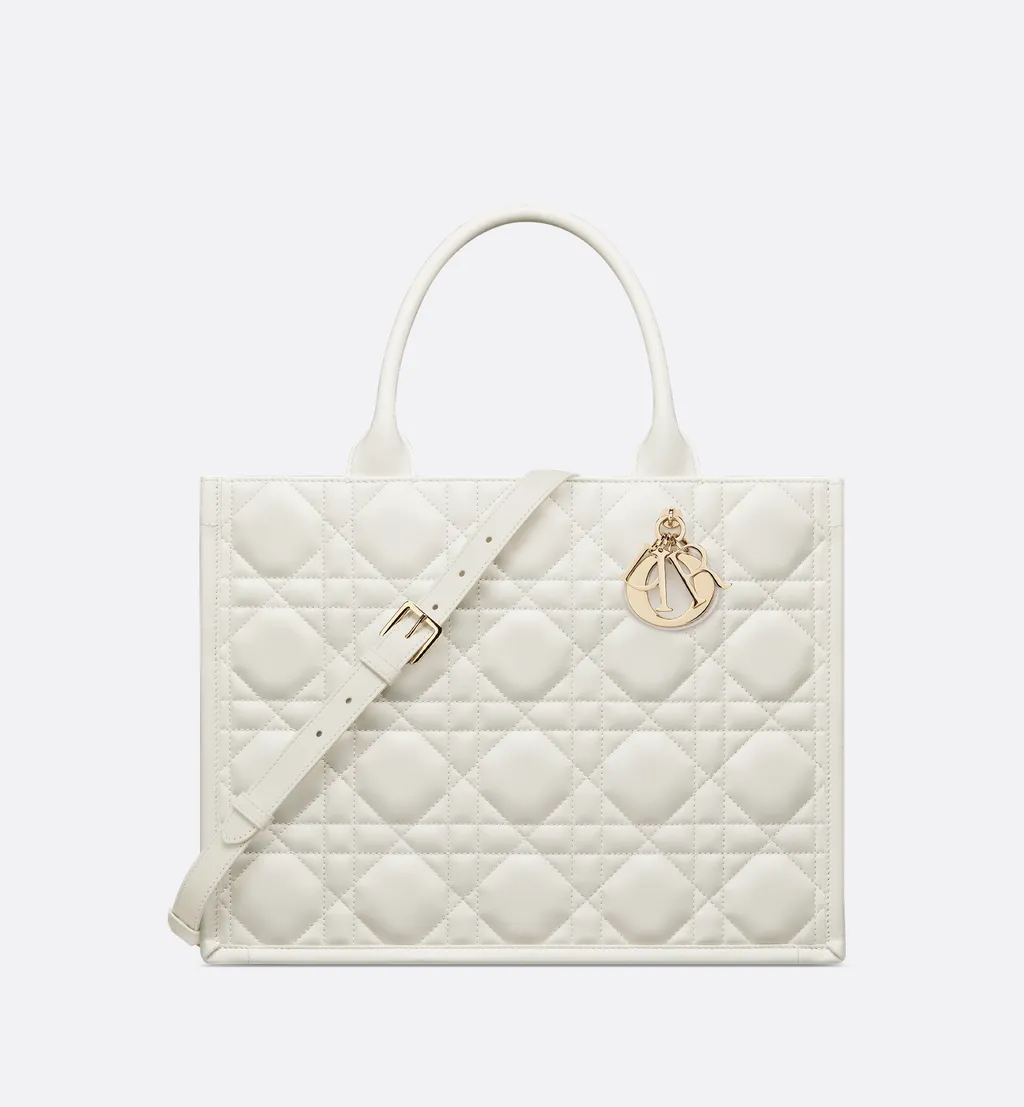 Medium Dior Book Tote