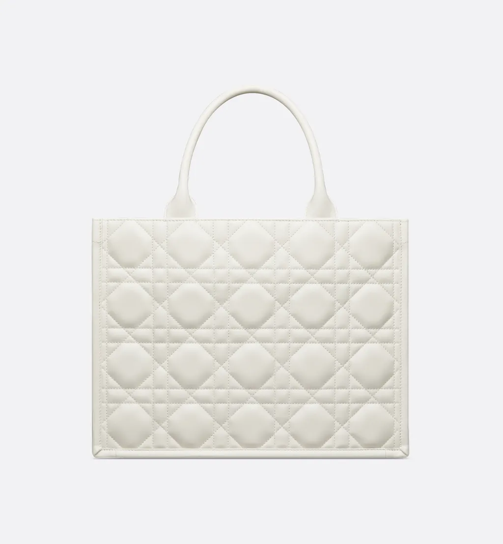 Medium Dior Book Tote