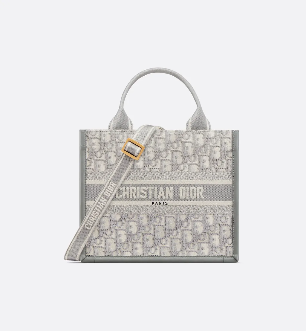 Small Dior Book Tote