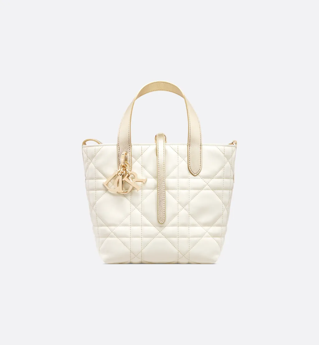 Small Dior Toujours Vertical Tote Bag
