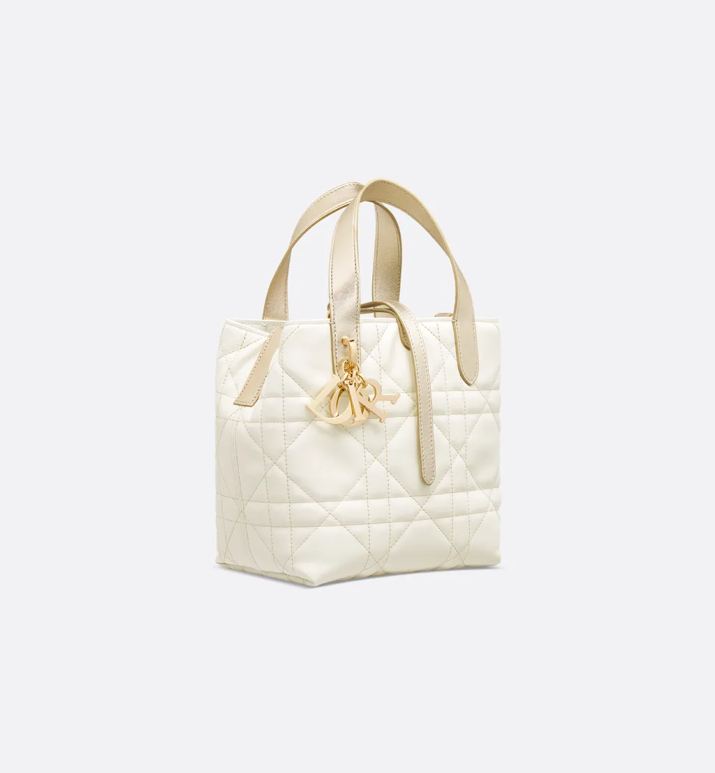 Small Dior Toujours Vertical Tote Bag