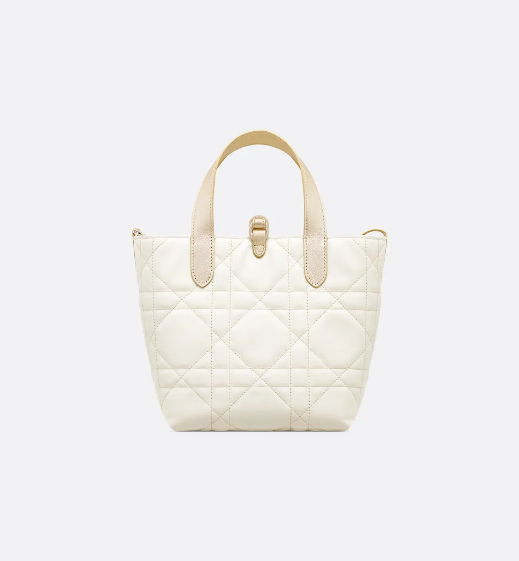 Small Dior Toujours Vertical Tote Bag