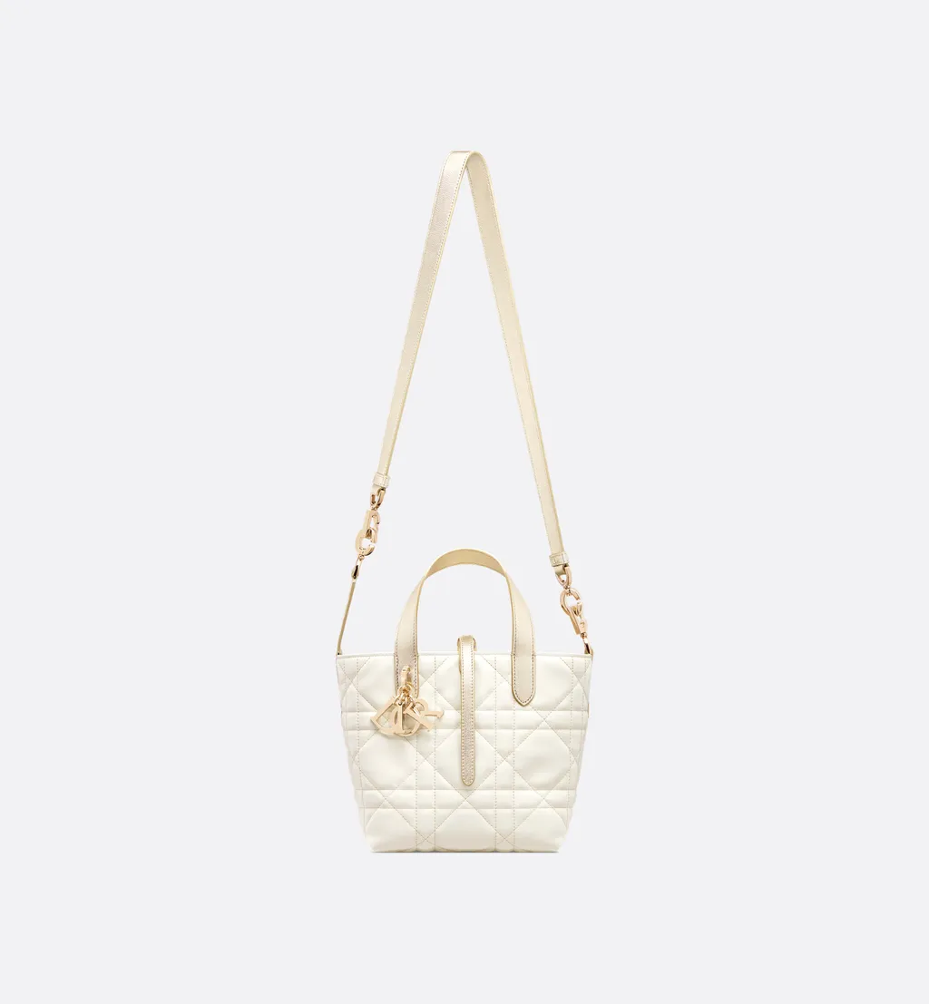 Small Dior Toujours Vertical Tote Bag