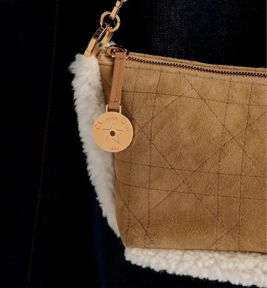 Dioralps Diorstar Hobo Bag With Chain