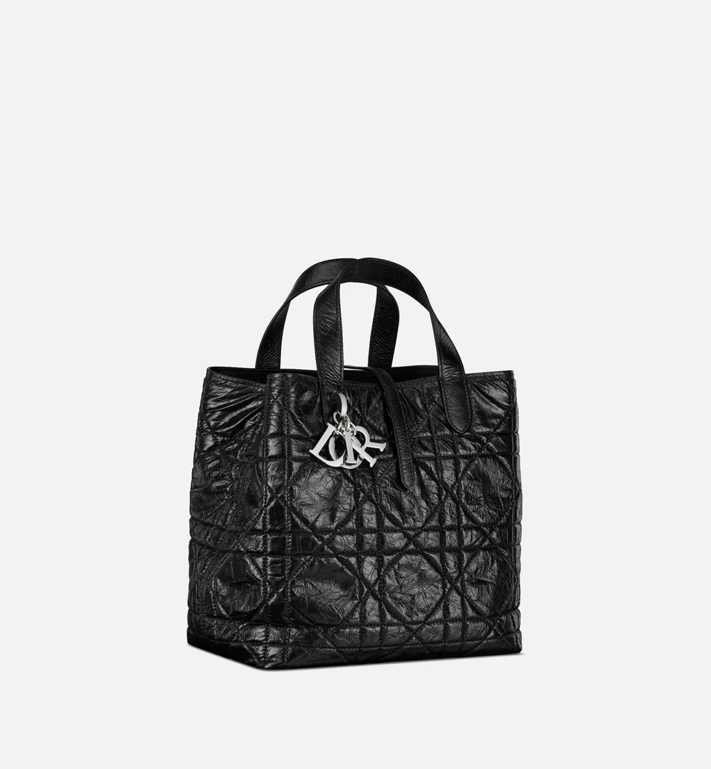 Medium Dior Toujours Vertical Tote Bag