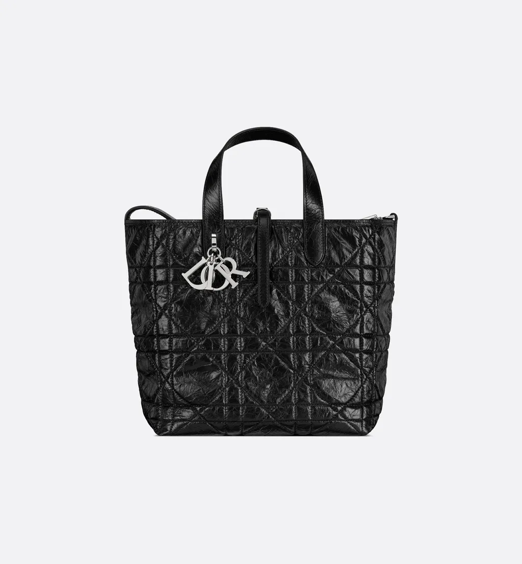 Medium Dior Toujours Vertical Tote Bag