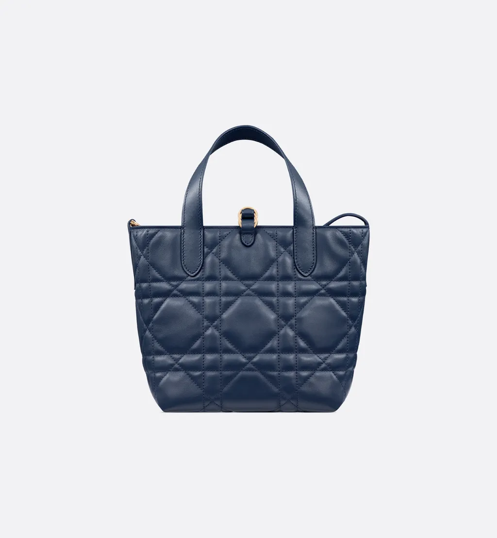 Small Dior Toujours Vertical Tote Bag
