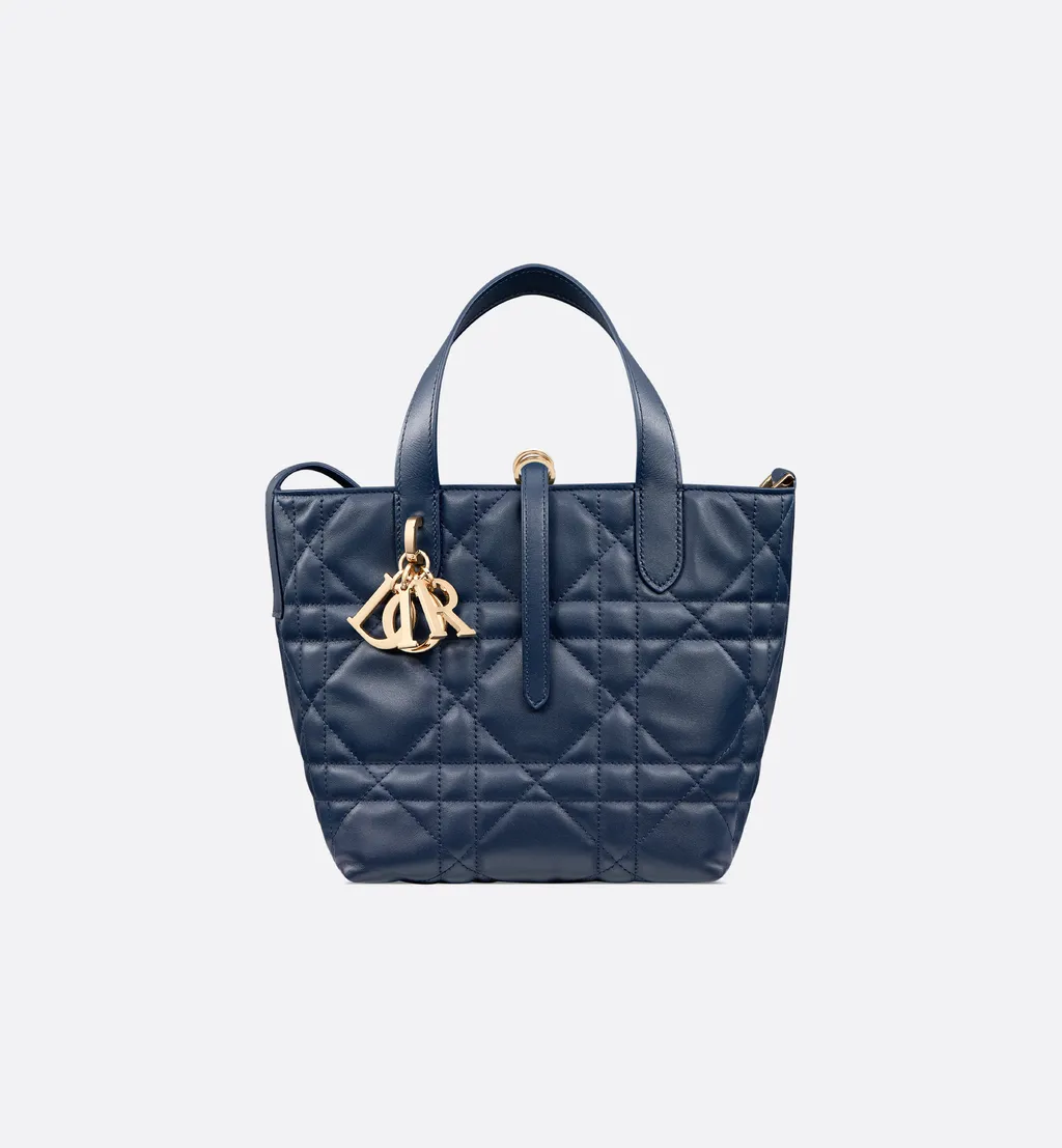 Small Dior Toujours Vertical Tote Bag