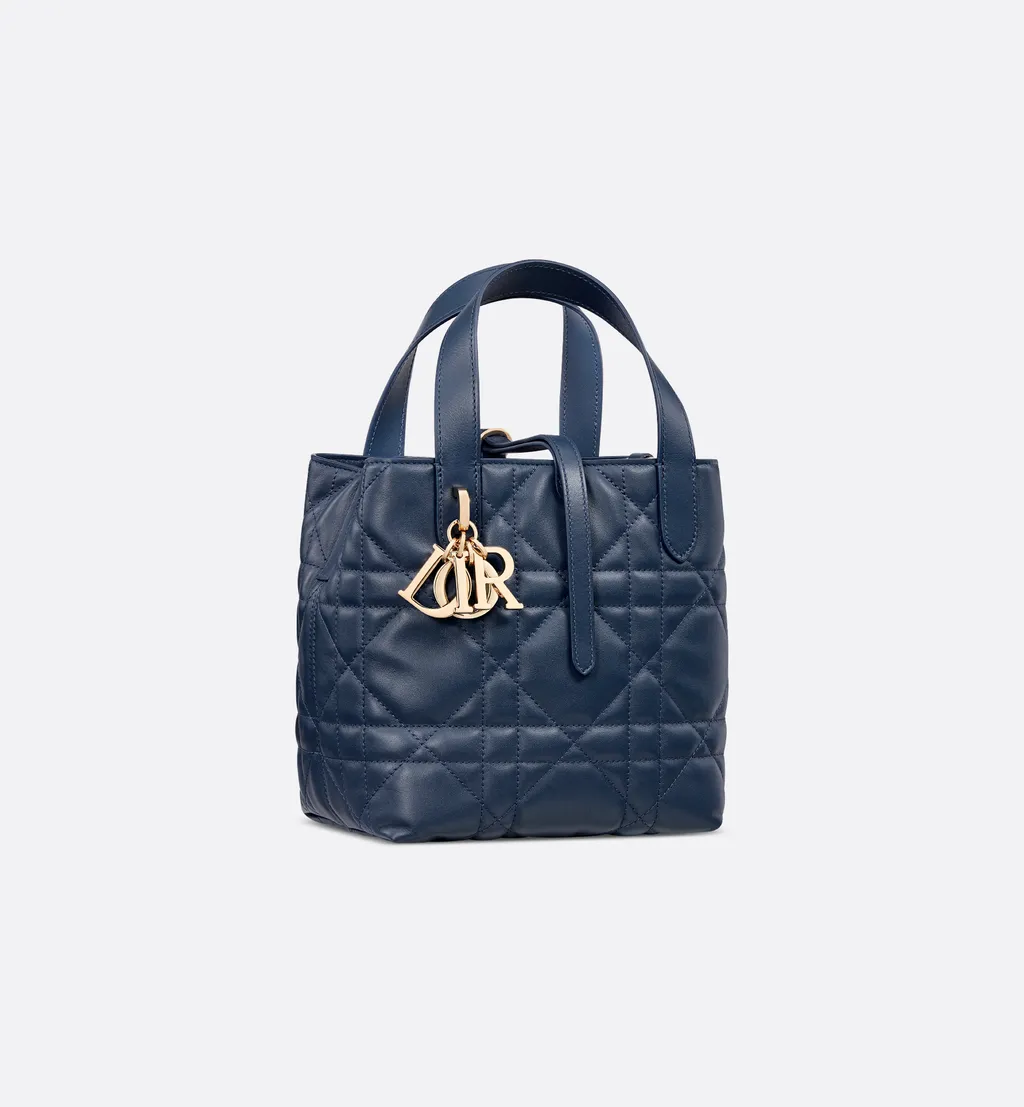 Small Dior Toujours Vertical Tote Bag
