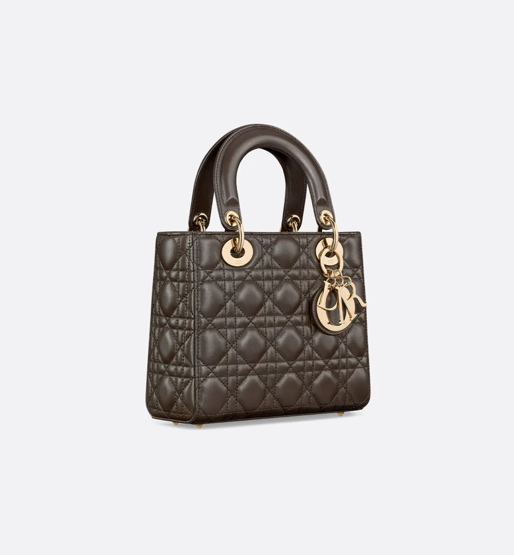 Small Lady Dior My Abcdior Bag