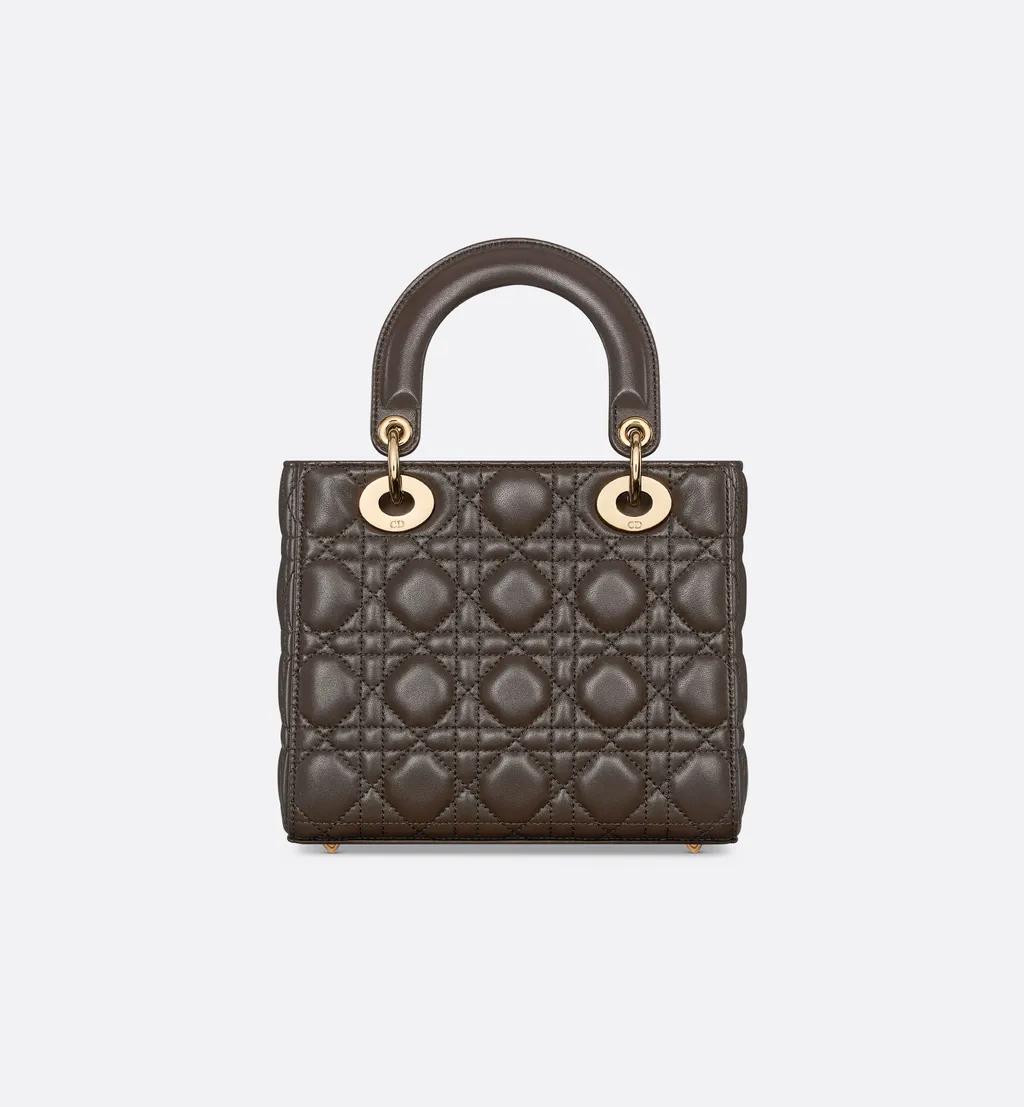Small Lady Dior My Abcdior Bag