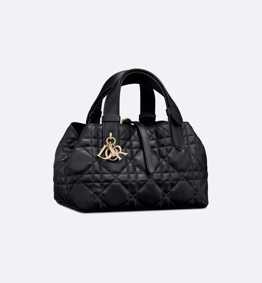 Small Dior Toujours Bag