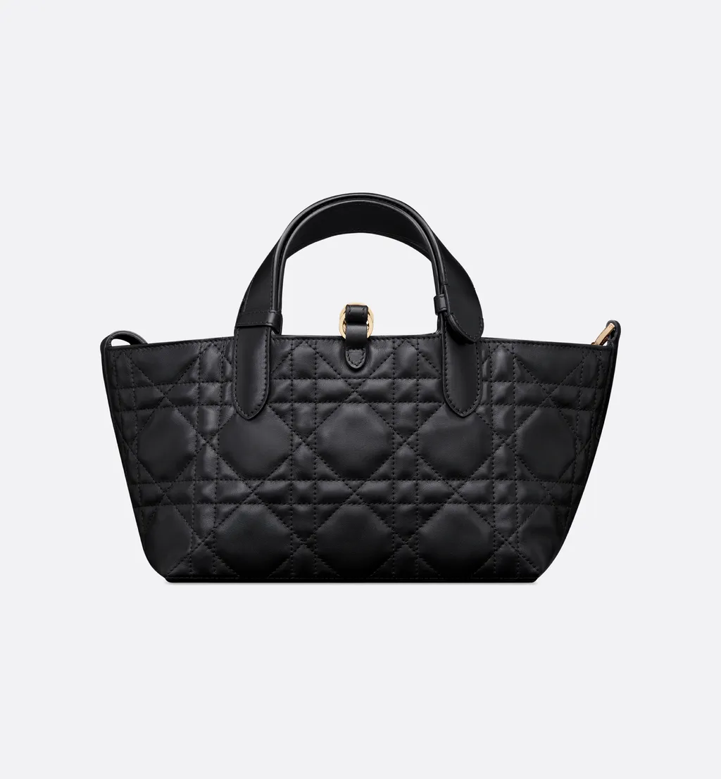 Small Dior Toujours Bag