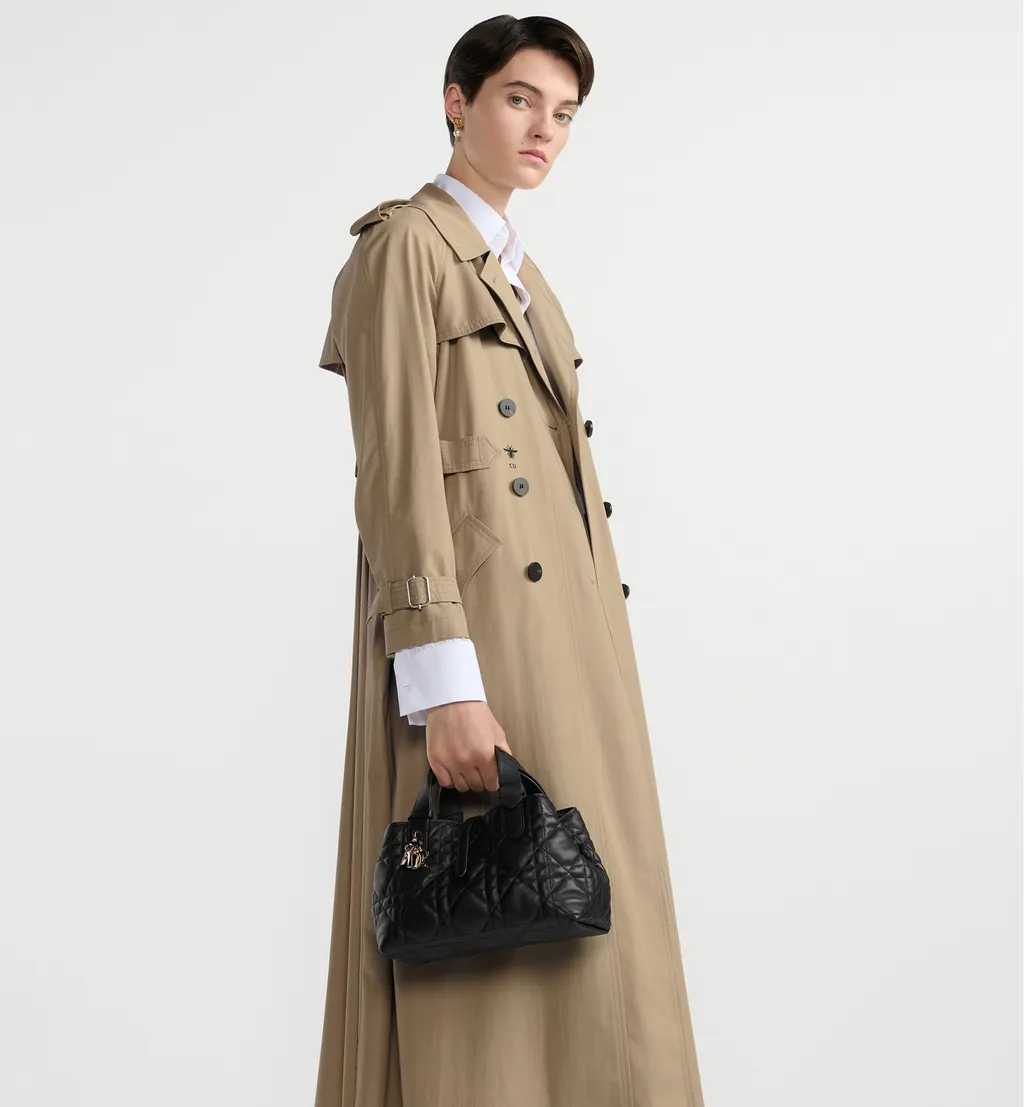 Small Dior Toujours Bag