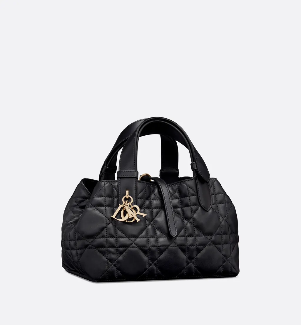 Small Dior Toujours Bag