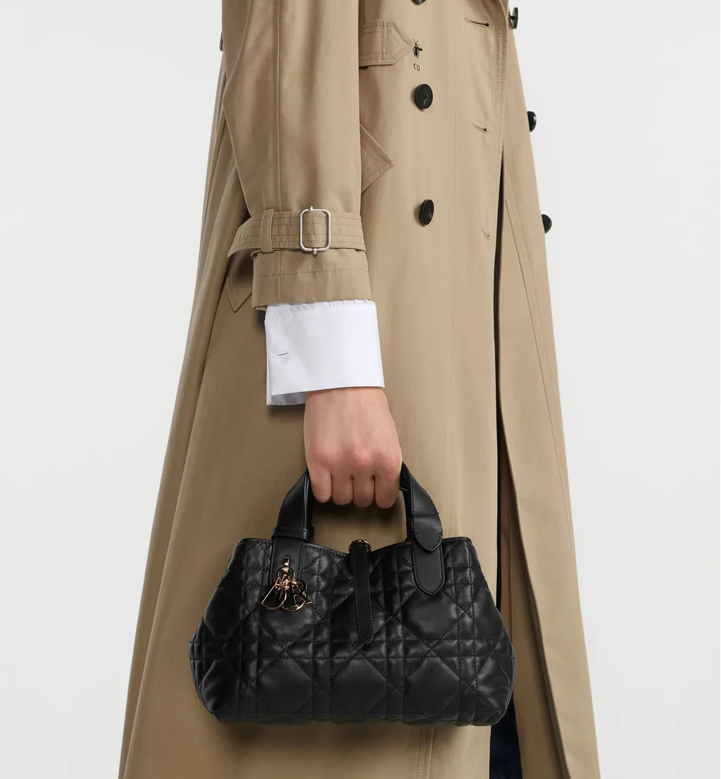 Small Dior Toujours Bag