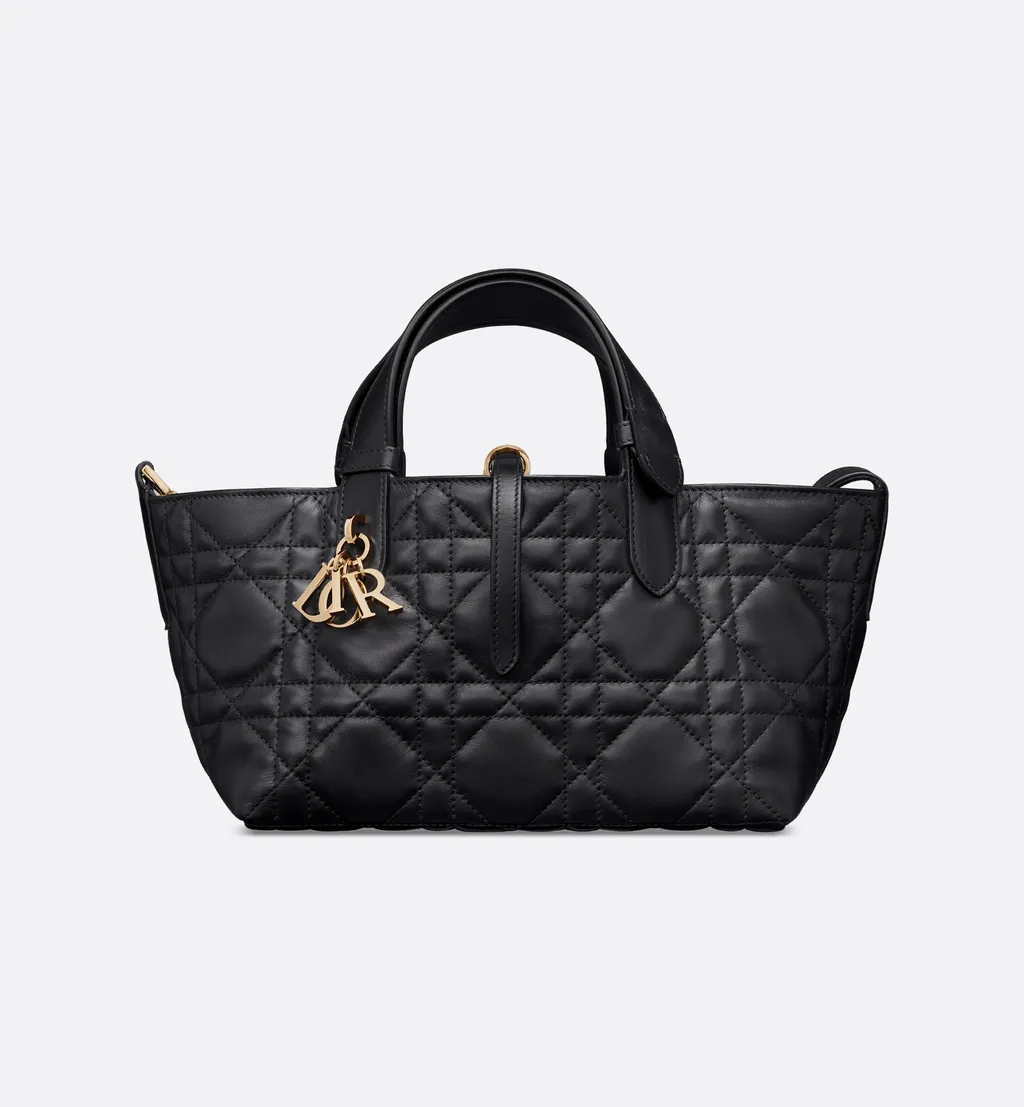 Small Dior Toujours Bag