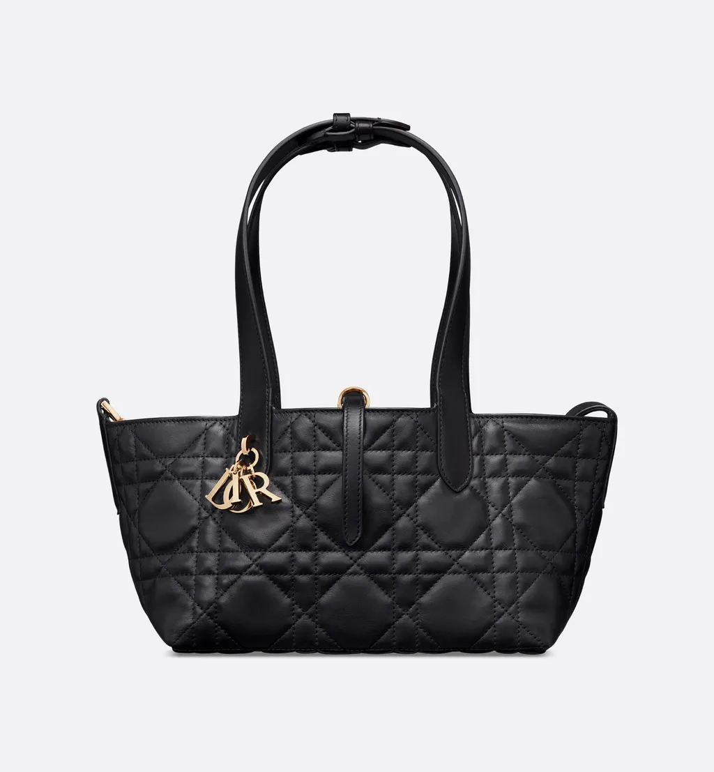 Small Dior Toujours Bag