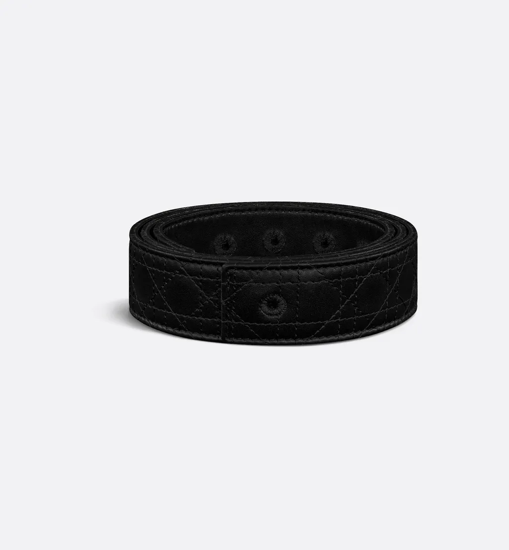 Reversible Belt Strap