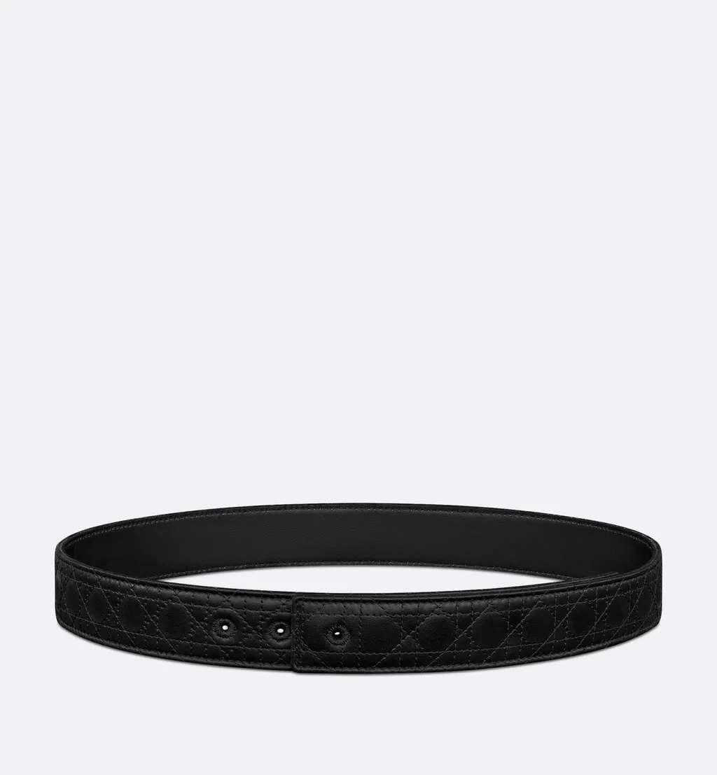 Reversible Belt Strap