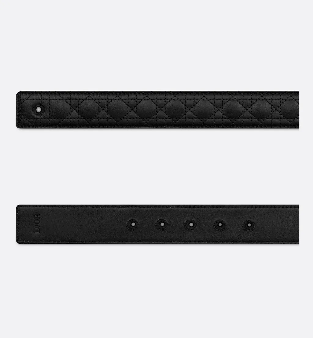 Reversible Belt Strap