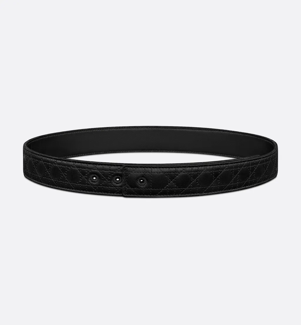 Reversible Belt Strap