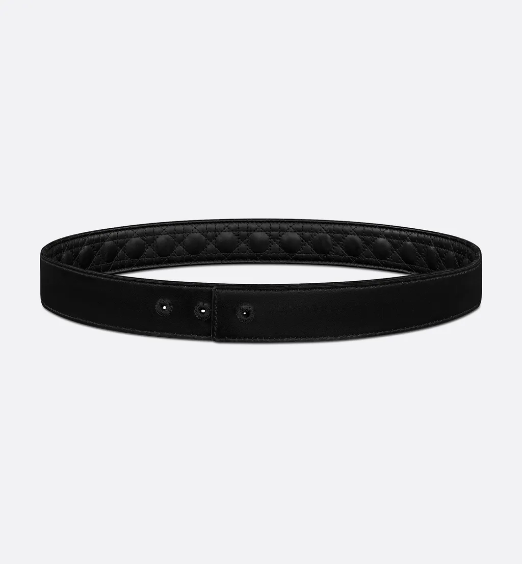 Reversible Belt Strap