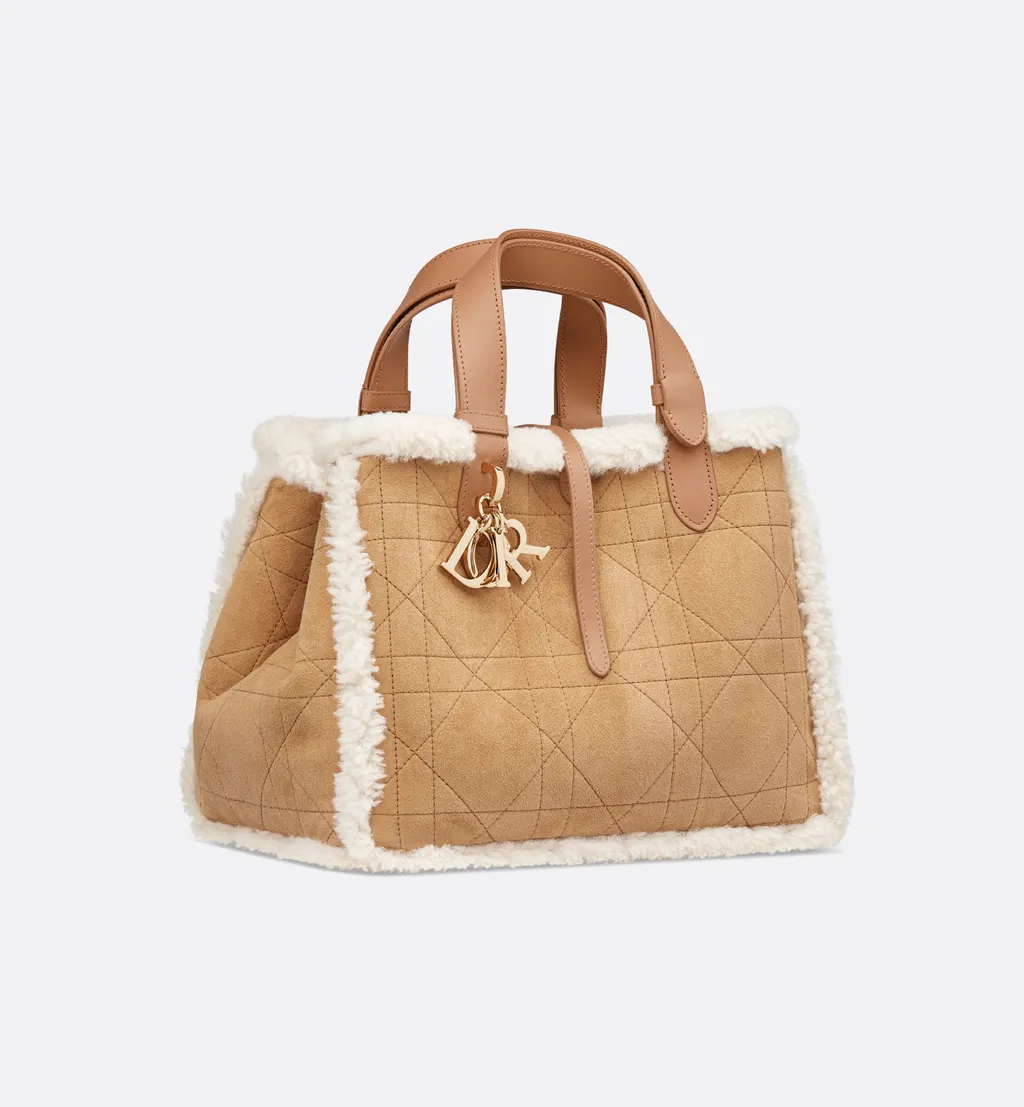 Dioralps Medium Dior Toujours Bag