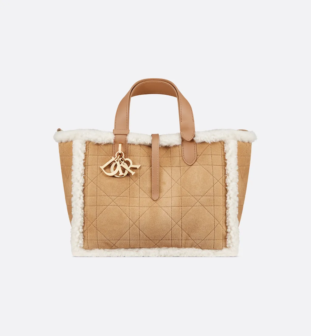 Dioralps Medium Dior Toujours Bag